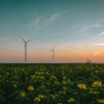 Niederlande führend in Innovationen