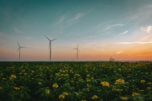 Niederlande führend in Innovationen