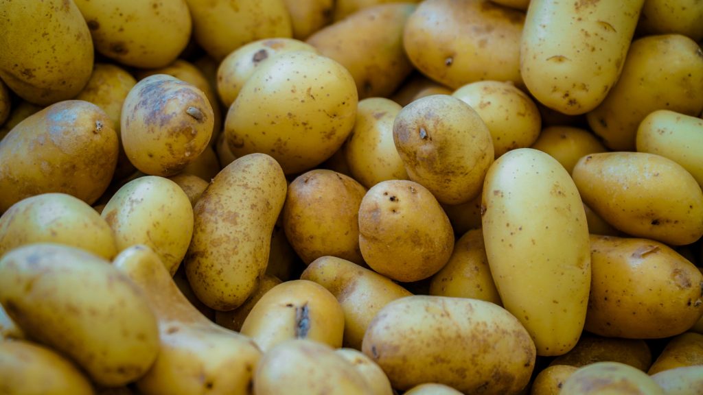 Potato Europe Delegationsreise Foto von Trang TRIEU auf Unsplash