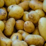 Potato Europe Delegationsreise Foto von Trang TRIEU auf Unsplash
