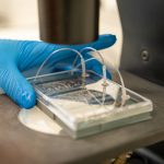 Medtech Niederlande: Start-up chiron
