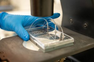 Medtech Niederlande: Start-up chiron
