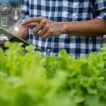 Bildgebende Technologien im Agritech- und Agrifoodsektor in den Niederlanden Image by Chaiyan Anuwatmongkolchai from Pixabay
