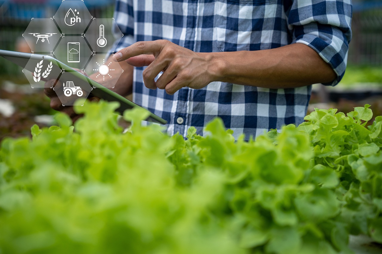 Bildgebende Technologien im Agritech- und Agrifoodsektor in den Niederlanden Image by Chaiyan Anuwatmongkolchai from Pixabay